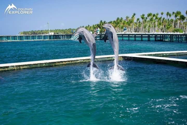 Punta Cana Sol Caribe Beach Pool المظهر الخارجي الصورة